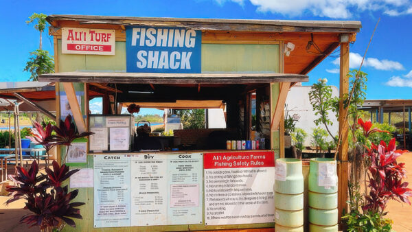 Alii Agriculture Farms – Hawaii’s Only Fishing Pond for Tilapia and Prawns