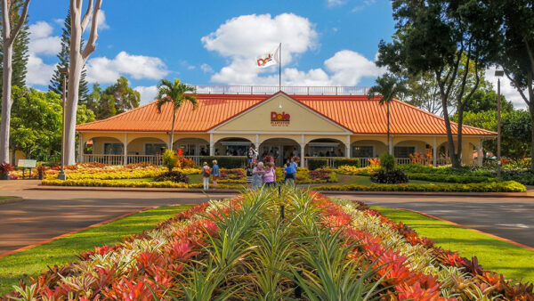 Dole Plantation – Hawaii’s Iconic Pineapple Attraction