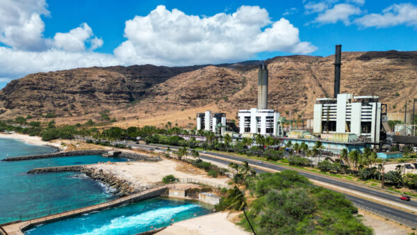 Electric Beach in Oahu – The Top West Coast Snorkeling Spot for Swimming with Dolphins