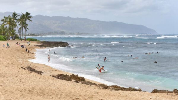 Haleiwa Beach – A Park to Enjoy Sea Turtles and Pro Surfers