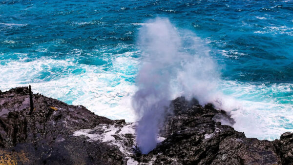 Halona Blowhole Lookout – A Must-See Oahu Lava Tube Spouting Water Over 30 Feet High