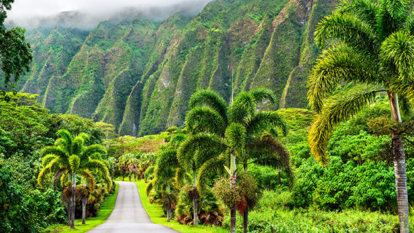 Hoomaluhia Botanical Garden – Hawaii’s Largest Scenic Botanical Garden