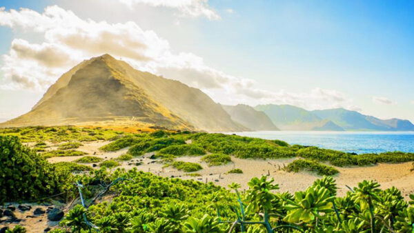 Kaena Point – A Nature Trail Where You Can Also Meet Hawaiian Monk Seals