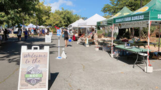 KCC Farmers' Market – Top 5 Must-Try Popular Foods You Can't Miss