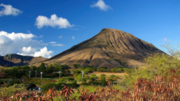 Koko Head Trail – A Challenging Hike with Breathtaking Views in Hawaii