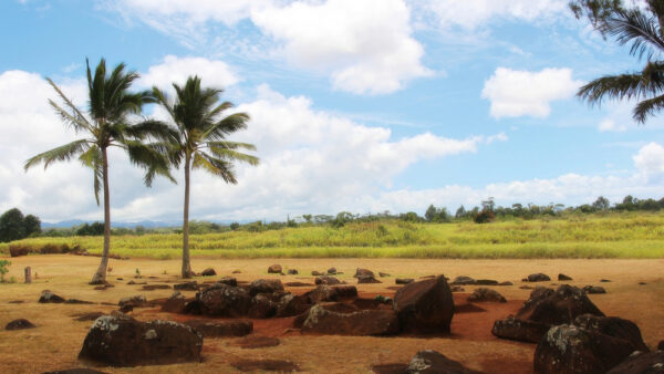 Kukaniloko Birthstones – Hawaii’s Premier Power Spot for a Safe Childbirth