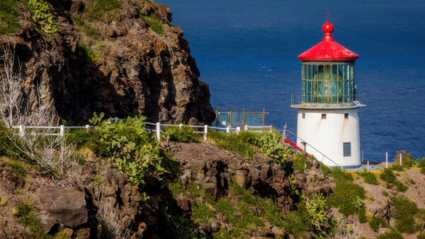 Makapuu Trail – One of Hawaii’s Most Popular Hiking Trails for Whale Watching
