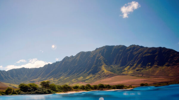 Makua Beach – The Best Place in Hawaii to Encounter Wild Dolphins from Shore