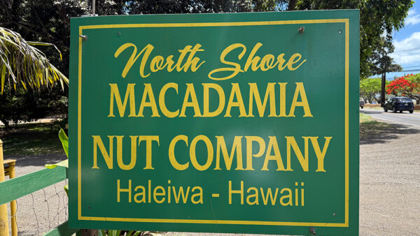 North Shore Macadamia Nut Company – A Farm with Homegrown Hawaiian Macadamia Nuts