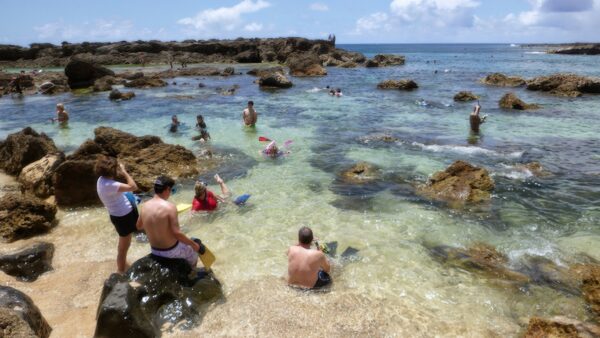 Shark’s Cove – The #1 Snorkeling Spot in Hawaii