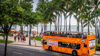 Waikiki Trolley Complete Guide – A Sightseeing Bus for Efficiently Visiting Popular Attractions
