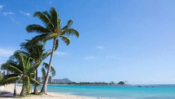Ala Moana Beach – A Popular Nature Park & Calm Ocean for Locals in Hawaii