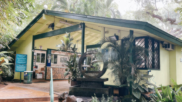 Foster Botanical Garden – Honolulu’s Largest Botanical Garden with Over 10,000 Tropical Plant Species