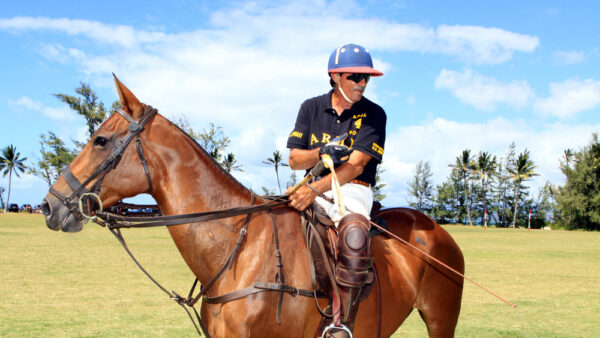 Hawaii Polo Club – Beachfront Horseback Riding on Oahu’s North Shore