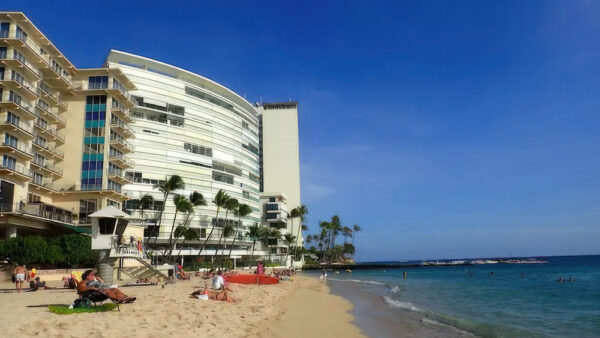 Kaimana Beach – A Hidden Gem Near Waikiki to See Hawaiian Monk Seals