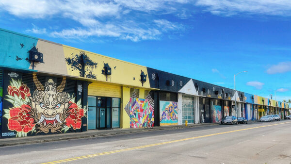Kakaako Wall Art – The Top 5 Most Popular Murals You Must Visit