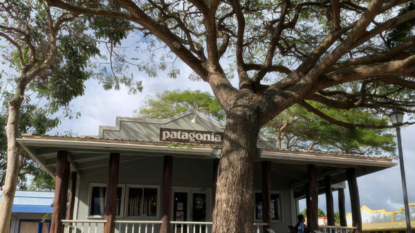 Patagonia in Hawaii – The Outdoor Brand with Popular, Hawaii-Exclusive Pataloha T-Shirts
