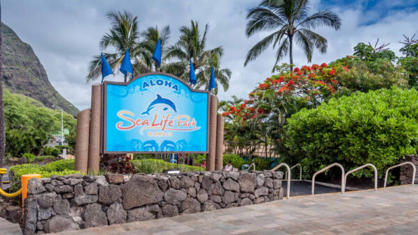 Sea Life Park Hawaii – Oahu’s Largest Interactive Marine Park