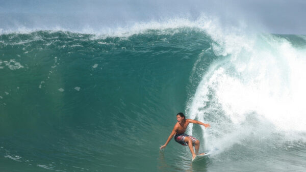 Top 5 Surfer Beaches in Hawaii – Classic Spots and Hidden Gems with Massive Waves