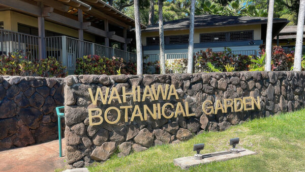 Wahiawa Botanical Garden – A Hidden Gem on Oahu to Enjoy Native Hawaiian Forests and Tropical Plants