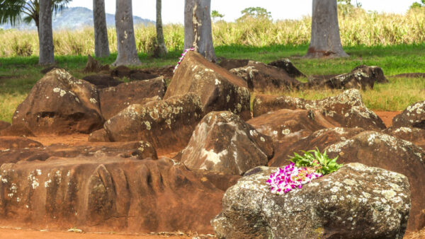 North Shore Recommended Power Spots – Classic Sacred Sites & Hidden Gems for Good Fortune