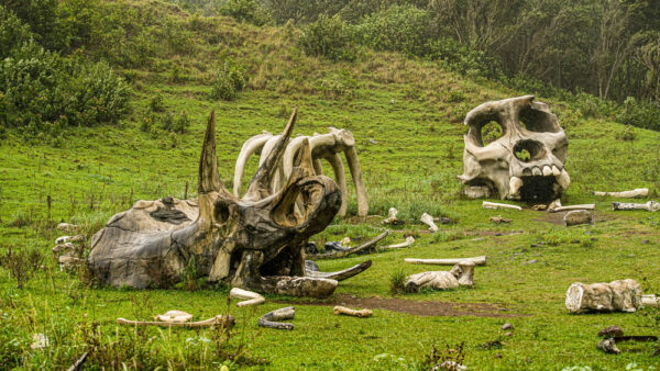 East Shore Sightseeing Guide – Best Spots and Hidden Gems Loved by Locals