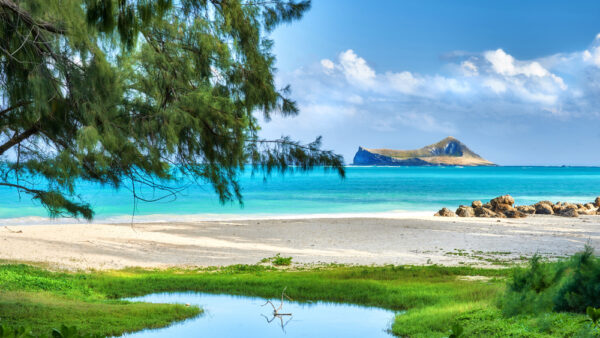 Bellows Beach – Hawaii’s Ultra-Secret Beach Usually Closed to the Public