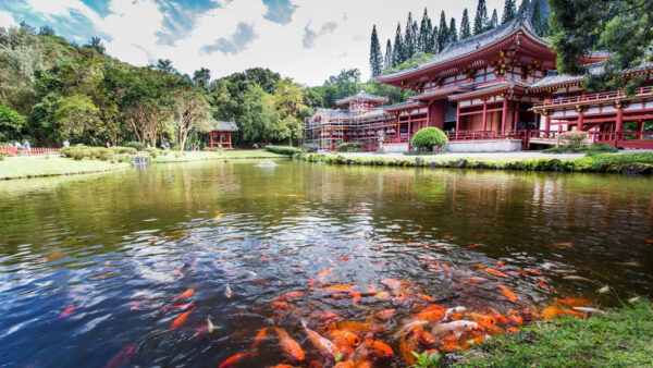 East Shore Oahu Recommended Power Spots – Classic Must-Visit Locations and Well-Kept Secret Places for Good Fortune
