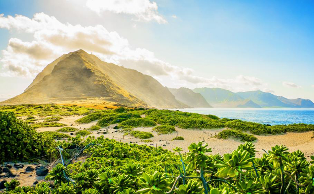 Kaena Point Oahu – A Wilderness Trail to Meet Hawaiian Monk Seals