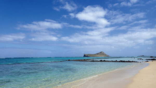 Kaiona Beach – A Hidden Beach with Crystal Clear Water Where You Can Swim with Sea Turtles