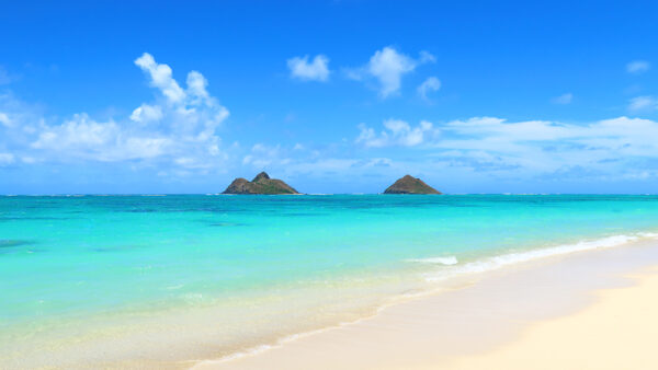 Lanikai Beach – The No. 1 Heavenly Sea in the US That Evokes a Hawaiian Paradise