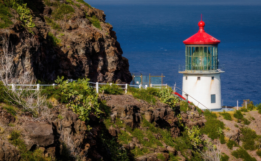 Makapuu Trail – One of Hawaii's Most Popular Hiking Trails for Whale Watching