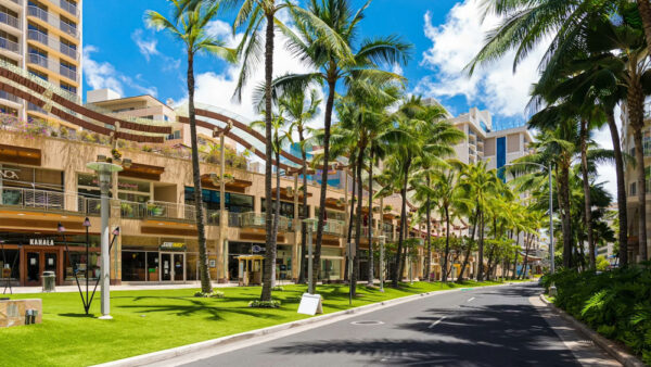 Waikiki and Ala Moana Shopping Guide – Must-Visit Classic Spots and Hidden Gems