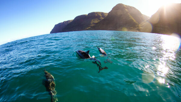 Yokohama Bay – A Spectacular Hidden Beach Surrounded by Hawaii’s Vast Nature