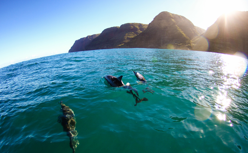 Yokohama Bay – A Spectacular Hidden Beach Surrounded by Hawaii's Vast Nature