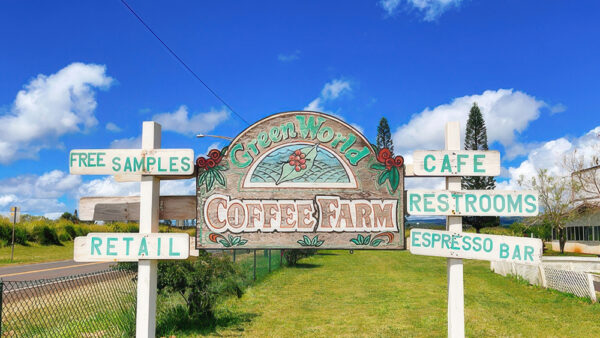 Green World Coffee Farm – Authentic Hawaiian Coffee Grown in the North Shore