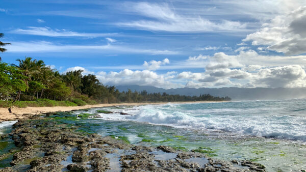 Papailoa Beach – A Super Hidden Spot With an Abundance of Sea Turtles on the North Shore