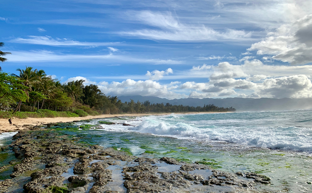 Papailoa Beach – A Super Hidden Spot With an Abundance of Sea Turtles on the North Shore