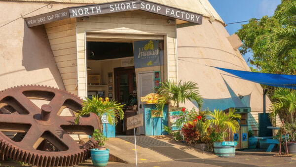 Soap Factory – The Most Popular Organic Soap Factory on the North Shore of Oahu