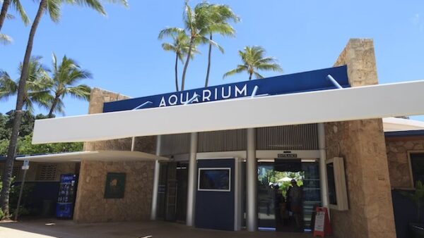 ワイキキ水族館【希少な固有種の宝庫！ハワイで唯一のアクアリウム】