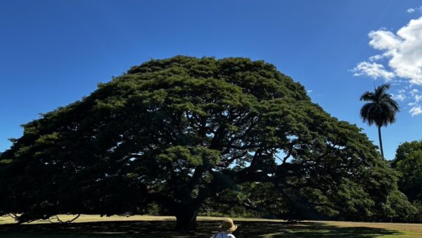 4世代での女子旅でお世話になりました！女子のワガママ詰め放題のツアーでしたが、タケさんのおかげで全て叶えていただけました！ありがとうございました！

車の中でハワイの歴史などたくさんのお話をしてくださりとても楽しい時間を過ごせました。
家族皆大満足でした！タケさん、本当にありがとうございました！

また次訪れた際もアロアロトラベルさんにお願いしたいと思います！