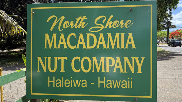 ノースショアマカダミアナッツカンパニー【自家製のマカダミアナッツ農園】