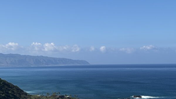 大好きなドライブにノースをリクエストし連れて行っていただきました。早朝の静かなハレイワの町を抜けてお目当てのお店で朝食、ピルボックスにヘイアウそして冬のノースの海を堪能！全てに提案と選択肢をくれて時間いっぱい楽しむことができイメージしていた事を効率よく叶えてくださいました。タケさんありがとうございました。次はスリーテーブルで潜りましょう🐠