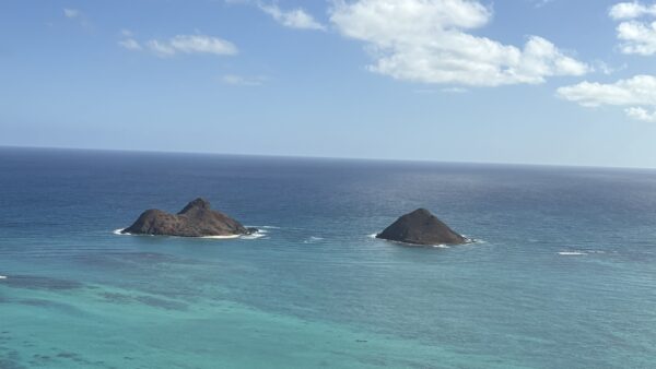 まる1日充実したツアーになりました。
ガイドのタケさんにはお世話になりました。
カイルアでは、ブーキモのパンケーキをto goしてもらい、コーヒーを買って朝食。Uberでラニカイピルボックスへ、その後またUberでカイルアタウンに戻って、ショッピング。ちょうどイイ時間配分でした。午後からノースショアへ、もう一組の方とほぼ行きたいところが一緒だったので、タケさんのガイド付きで、
コーヒー農園、ポハクラナイ、アリイビーチ(ジョバンニのガーリックシュリンプをto goしてもらって、遅め昼食に)
海の中のホヌさんにも会え、ヘイアウ、
ハレイワで自由行動、サンセットビーチでのサンセット鑑賞からのタンタラスの丘の夜景。お天気もよくてサンセットも夜景も素晴らしかったです。
タケさんに写真もいっぱいとってもらって、極めつけはタンタラスの丘に行くまでにハワイの歴史のお話をしてもらいました。とても興味深いお話で、途中寝落ちしてしまったのが悔やまれます。
本当に楽しかったです。タケさんありがとうございました。mahalo nui loa❣️
