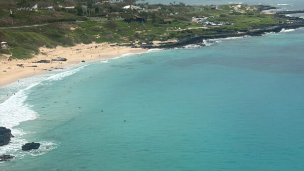 三世代でのハワイ旅行でお世話になりました。8人で参加させていただきました。雨の影響で予定していたノースショア、ドールの方へはいけませんでしたが、色々と提案していただき充実した時間となりました！雨だし8時間余るかなぁ。。と思いましたが全然！！あっというまでした。写真も沢山とっていただきあがとうございます。また、ハワイへ行く事があれば行けなかった所へお願いしたいと思います。